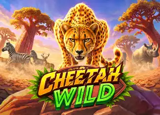 Cheetah Wild